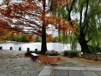 Table by river against trees during autumn