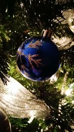 Close-up of christmas tree