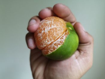 Close-up of person holding apple