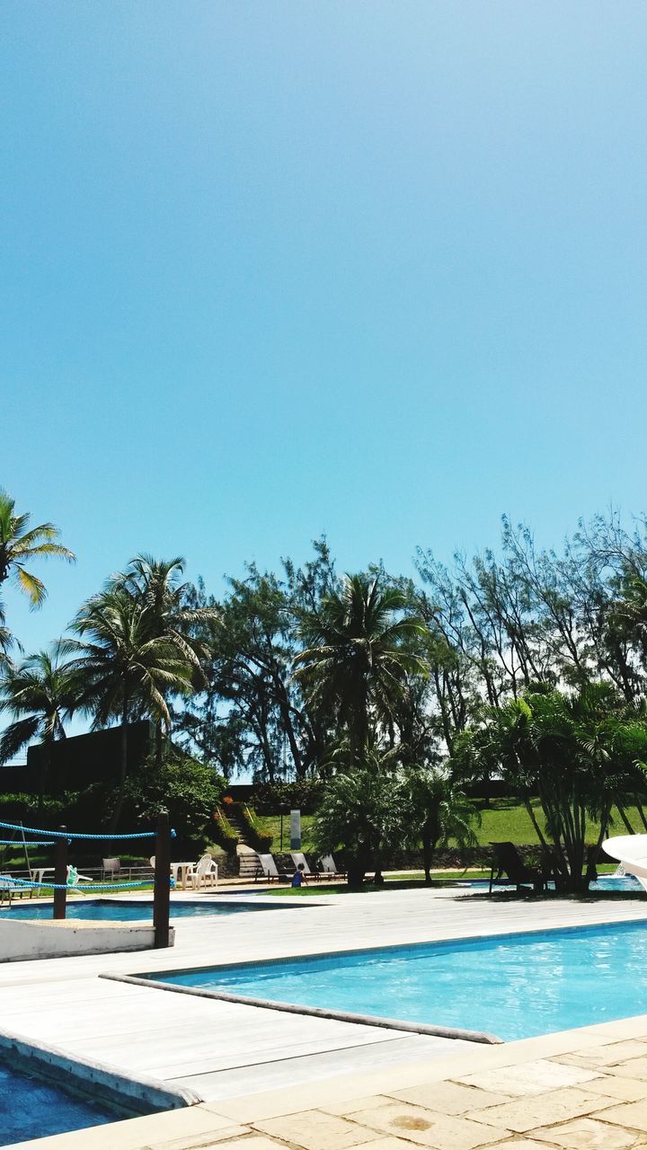 clear sky, tree, water, blue, copy space, beach, tranquility, tranquil scene, sea, scenics, palm tree, beauty in nature, nature, shore, sand, growth, sunlight, day, horizon over water, idyllic