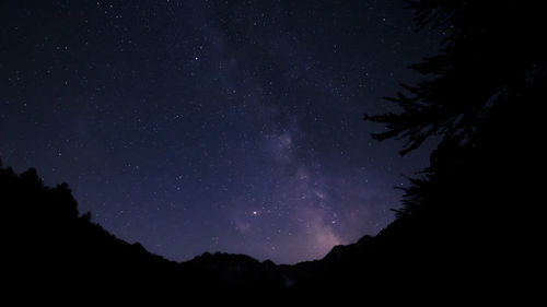 Low angle view of silhouette trees against sky at night