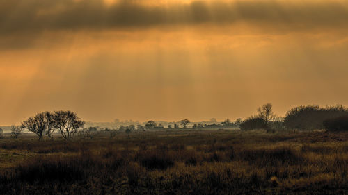 Scenic view of field against sky during sunset