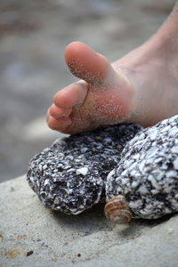 Low section of person on sand at beach