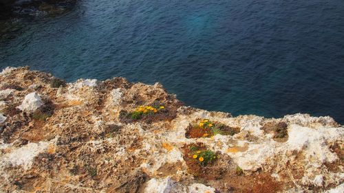 High angle view of rocks on beach