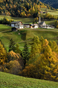 Houses and trees on field during autumn