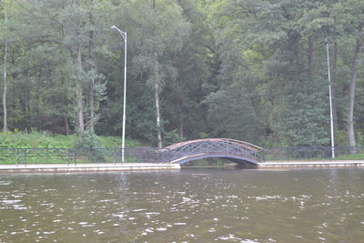 Scenic view of river in forest