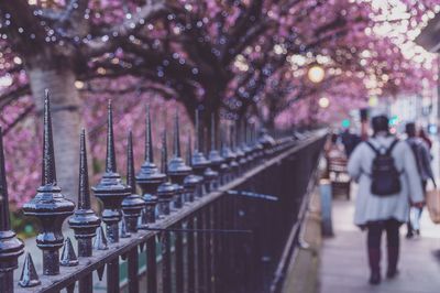 Rear view of woman walking by railing against trees