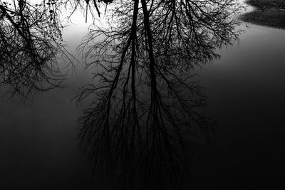 Low angle view of silhouette bare tree against sky