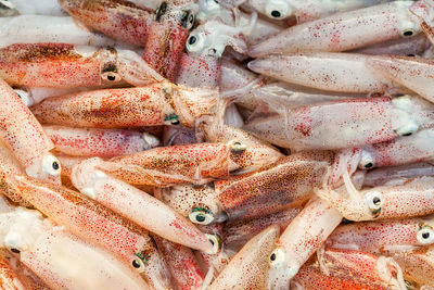 High angle view of fish for sale in market