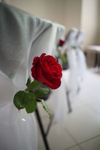 Close-up of rose bouquet