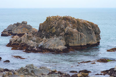 Lots of seagulls stand on rocks isolated in the ocean, relaxing and flying around the rocks.