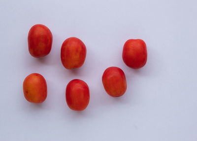 Directly above shot of tomatoes against white background