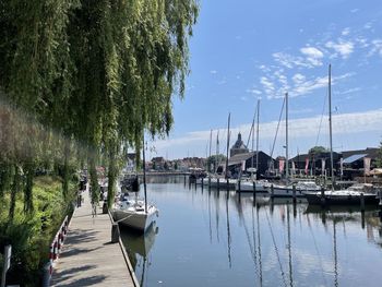 Sailboats moored at harbor against sky