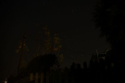 Low angle view of illuminated tree at night