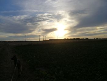 Scenic view of field against sky during sunset