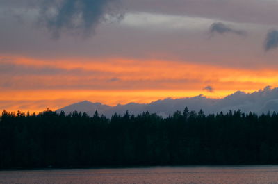 Scenic view of silhouette forest against orange sky