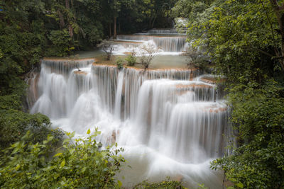 Scenic view of waterfall in forest