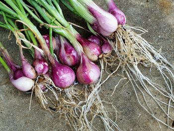High angle view of fresh vegetables