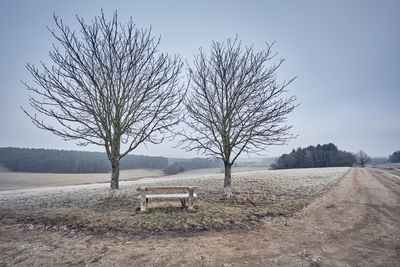 Bare tree on field against sky