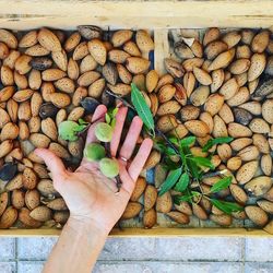 High angle view of hand holding almond nuts above wood crate