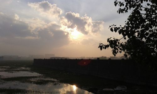 Scenic view of tree against sky during sunset