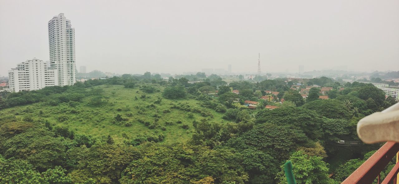 architecture, built structure, building exterior, tree, clear sky, city, growth, high angle view, cityscape, copy space, tall - high, tower, day, sky, skyscraper, green color, outdoors, travel destinations, residential building, no people