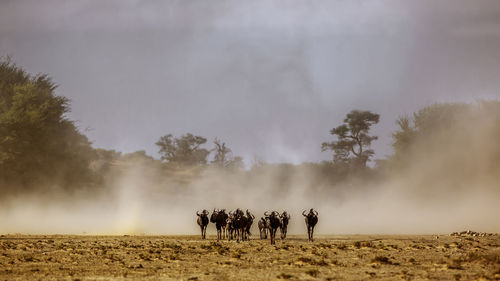 People walking on dirt road against sky