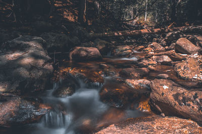 River flowing through rocks in forest