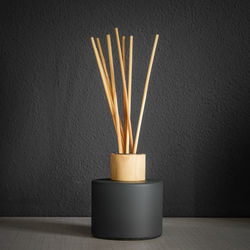 Close-up of potted plant on table at home