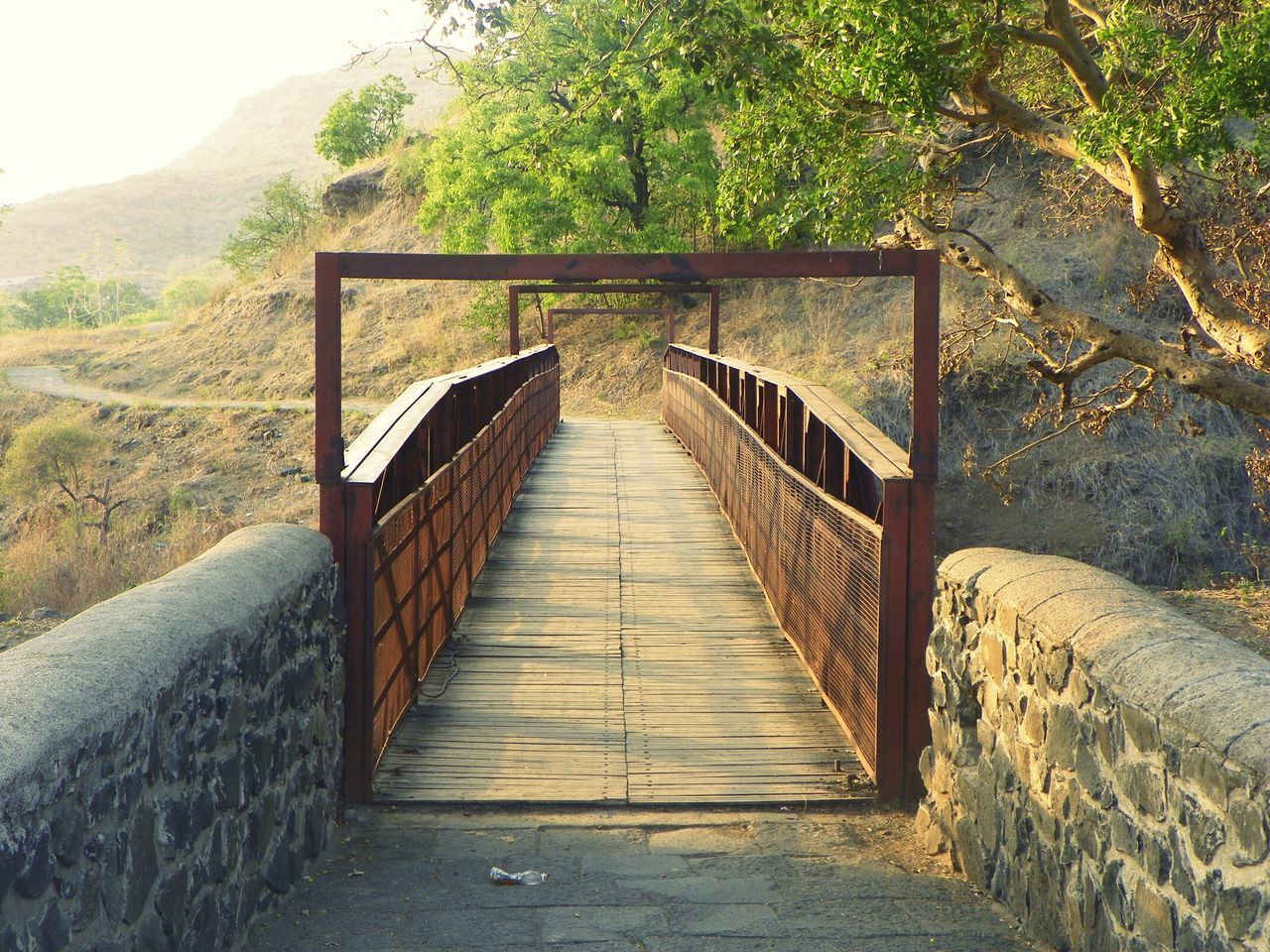 the way forward, railing, built structure, connection, diminishing perspective, bridge - man made structure, tranquility, mountain, tree, architecture, leading, tranquil scene, vanishing point, narrow, footbridge, nature, long, plant, steps, day