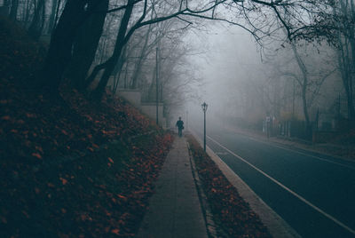 Man walking on footpath during autumn