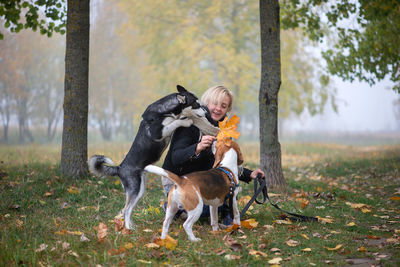 View of a dog on field