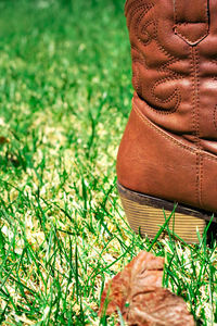 Close-up of person wearing shoes on field