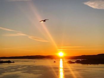 Birds flying over sea against sky during sunset