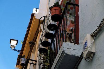 Low angle view of building against blue sky