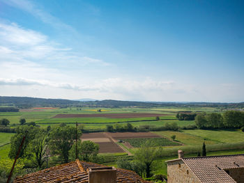 Scenic view of vineyard against sky