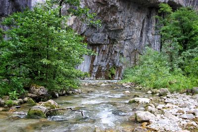 Stream flowing through rocks in forest