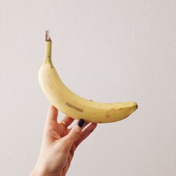 Close-up of cropped hand holding white background