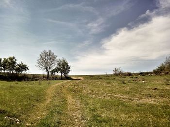 Scenic view of field against sky