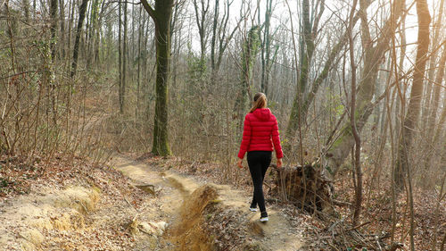 Rear view of woman walking in forest