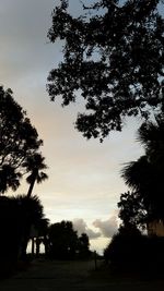 Low angle view of silhouette trees against sky