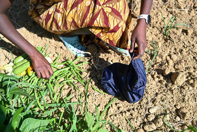 Low section of woman standing on field