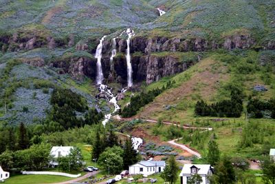 High angle view of trees on mountain