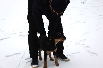 Low section of woman with dog on snow