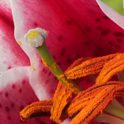 Full frame shot of water