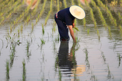 Rear view of woman standing in lake