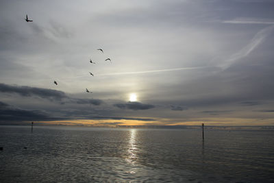 Birds flying over sea against sky