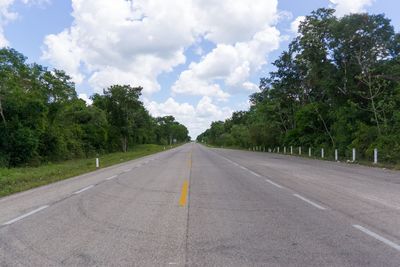 Empty road along trees