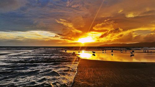 Scenic view of sea at sunset