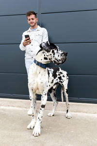 Smiling male standing on street with harlequin great dane dog and messaging on social media while entertaining at weekend in city